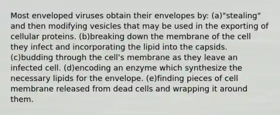 Most enveloped viruses obtain their envelopes by: (a)"stealing" and then modifying vesicles that may be used in the exporting of cellular proteins. (b)breaking down the membrane of the cell they infect and incorporating the lipid into the capsids. (c)budding through the cell's membrane as they leave an infected cell. (d)encoding an enzyme which synthesize the necessary lipids for the envelope. (e)finding pieces of cell membrane released from dead cells and wrapping it around them.