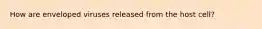 How are enveloped viruses released from the host cell?