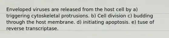 Enveloped viruses are released from the host cell by a) triggering cytoskeletal protrusions. b) Cell division c) budding through the host membrane. d) initiating apoptosis. e) tuse of reverse transcriptase.