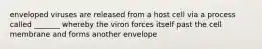 enveloped viruses are released from a host cell via a process called _______ whereby the viron forces itself past the cell membrane and forms another envelope