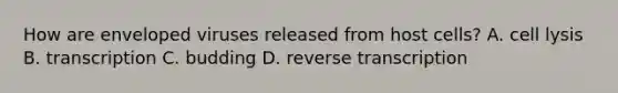 How are enveloped viruses released from host cells? A. cell lysis B. transcription C. budding D. reverse transcription