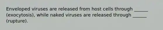 Enveloped viruses are released from host cells through ______ (exocytosis), while naked viruses are released through ______ (rupture).