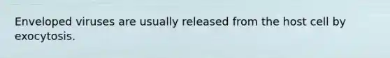Enveloped viruses are usually released from the host cell by exocytosis.