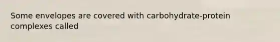 Some envelopes are covered with carbohydrate-protein complexes called