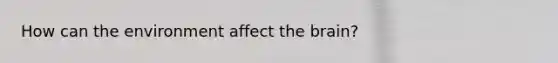 How can the environment affect the brain?