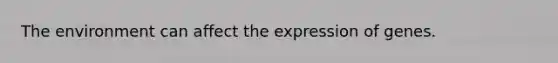 The environment can affect the expression of genes.