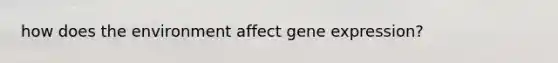 how does the environment affect gene expression?