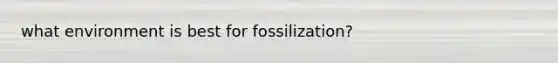 what environment is best for fossilization?