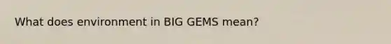 What does environment in BIG GEMS mean?