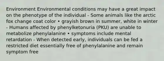 Environment Environmental conditions may have a great impact on the phenotype of the individual - Some animals like the arctic fox change coat color • grayish brown in summer, white in winter - Humans affected by phenylketonuria (PKU) are unable to metabolize phenylalanine • symptoms include mental retardation - When detected early, individuals can be fed a restricted diet essentially free of phenylalanine and remain symptom free