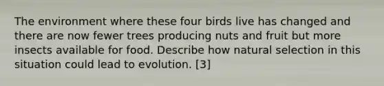 The environment where these four birds live has changed and there are now fewer trees producing nuts and fruit but more insects available for food. Describe how natural selection in this situation could lead to evolution. [3]