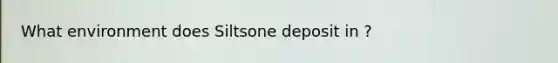 What environment does Siltsone deposit in ?