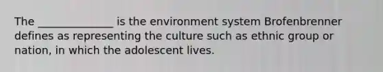 The ______________ is the environment system Brofenbrenner defines as representing the culture such as ethnic group or nation, in which the adolescent lives.