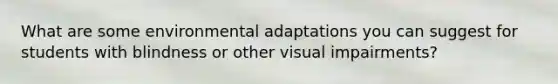 What are some environmental adaptations you can suggest for students with blindness or other visual impairments?