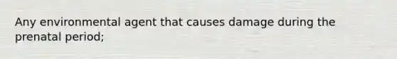 Any environmental agent that causes damage during the prenatal period;