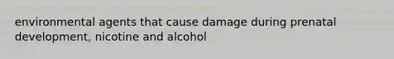 environmental agents that cause damage during prenatal development, nicotine and alcohol