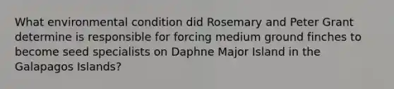 What environmental condition did Rosemary and Peter Grant determine is responsible for forcing medium ground finches to become seed specialists on Daphne Major Island in the Galapagos Islands?