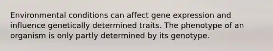 Environmental conditions can affect gene expression and influence genetically determined traits. The phenotype of an organism is only partly determined by its genotype.