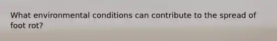 What environmental conditions can contribute to the spread of foot rot?