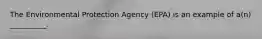 The Environmental Protection Agency (EPA) is an example of a(n) __________.