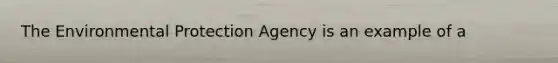 The Environmental Protection Agency is an example of a