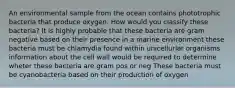 An environmental sample from the ocean contains phototrophic bacteria that produce oxygen. How would you classify these bacteria? It is highly probable that these bacteria are gram negative based on their presence in a marine environment these bacteria must be chlamydia found within unicellurlar organisms information about the cell wall would be required to determine wheter these bacteria are gram pos or neg These bacteria must be cyanobacteria based on their production of oxygen