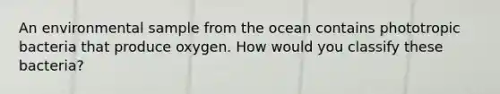 An environmental sample from the ocean contains phototropic bacteria that produce oxygen. How would you classify these bacteria?