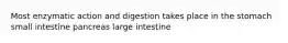 Most enzymatic action and digestion takes place in the stomach small intestine pancreas large intestine