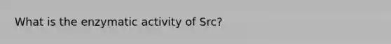 What is the enzymatic activity of Src?