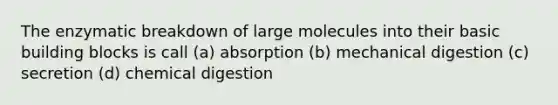 The enzymatic breakdown of large molecules into their basic building blocks is call (a) absorption (b) mechanical digestion (c) secretion (d) chemical digestion