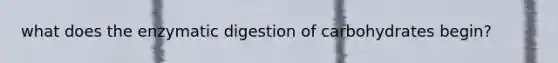 what does the enzymatic digestion of carbohydrates begin?
