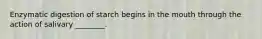 Enzymatic digestion of starch begins in the mouth through the action of salivary ________.