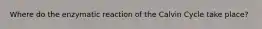 Where do the enzymatic reaction of the Calvin Cycle take place?
