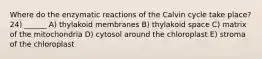 Where do the enzymatic reactions of the Calvin cycle take place? 24) ______ A) thylakoid membranes B) thylakoid space C) matrix of the mitochondria D) cytosol around the chloroplast E) stroma of the chloroplast