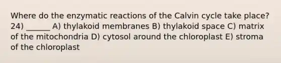 Where do the enzymatic reactions of the Calvin cycle take place? 24) ______ A) thylakoid membranes B) thylakoid space C) matrix of the mitochondria D) cytosol around the chloroplast E) stroma of the chloroplast