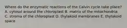 Where do the enzymatic reactions of the Calvin cycle take place? A. cytosol around the chloroplast B. matrix of the mitochondria C. stroma of the chloroplast D. thylakoid membranes E. thylakoid space