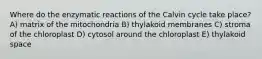 Where do the enzymatic reactions of the Calvin cycle take place? A) matrix of the mitochondria B) thylakoid membranes C) stroma of the chloroplast D) cytosol around the chloroplast E) thylakoid space