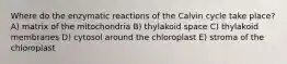 Where do the enzymatic reactions of the Calvin cycle take place? A) matrix of the mitochondria B) thylakoid space C) thylakoid membranes D) cytosol around the chloroplast E) stroma of the chloroplast