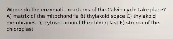 Where do the enzymatic reactions of the Calvin cycle take place? A) matrix of the mitochondria B) thylakoid space C) thylakoid membranes D) cytosol around the chloroplast E) stroma of the chloroplast