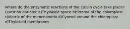 Where do the enzymatic reactions of the Calvin cycle take place? Question options: a)Thylakoid space b)Stroma of the chloroplast c)Matrix of the mitochondria d)Cytosol around the chloroplast e)Thylakoid membranes