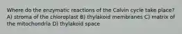 Where do the enzymatic reactions of the Calvin cycle take place? A) stroma of the chloroplast B) thylakoid membranes C) matrix of the mitochondria D) thylakoid space