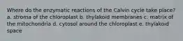 Where do the enzymatic reactions of the Calvin cycle take place? a. stroma of the chloroplast b. thylakoid membranes c. matrix of the mitochondria d. cytosol around the chloroplast e. thylakoid space