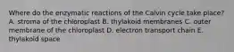 Where do the enzymatic reactions of the Calvin cycle take place? A. stroma of the chloroplast B. thylakoid membranes C. outer membrane of the chloroplast D. electron transport chain E. thylakoid space