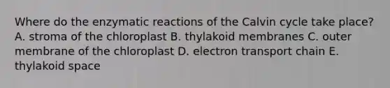 Where do the enzymatic reactions of the Calvin cycle take place? A. stroma of the chloroplast B. thylakoid membranes C. outer membrane of the chloroplast D. electron transport chain E. thylakoid space