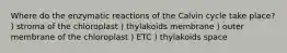 Where do the enzymatic reactions of the Calvin cycle take place? ) stroma of the chloroplast ) thylakoids membrane ) outer membrane of the chloroplast ) ETC ) thylakoids space