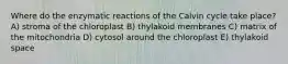 Where do the enzymatic reactions of the Calvin cycle take place? A) stroma of the chloroplast B) thylakoid membranes C) matrix of the mitochondria D) cytosol around the chloroplast E) thylakoid space