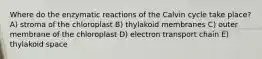 Where do the enzymatic reactions of the Calvin cycle take place? A) stroma of the chloroplast B) thylakoid membranes C) outer membrane of the chloroplast D) electron transport chain E) thylakoid space