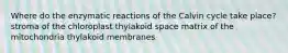 Where do the enzymatic reactions of the Calvin cycle take place? stroma of the chloroplast thylakoid space matrix of the mitochondria thylakoid membranes