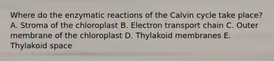 Where do the enzymatic reactions of the Calvin cycle take place? A. Stroma of the chloroplast B. Electron transport chain C. Outer membrane of the chloroplast D. Thylakoid membranes E. Thylakoid space