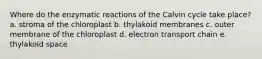 Where do the enzymatic reactions of the Calvin cycle take place? a. stroma of the chloroplast b. thylakoid membranes c. outer membrane of the chloroplast d. electron transport chain e. thylakoid space